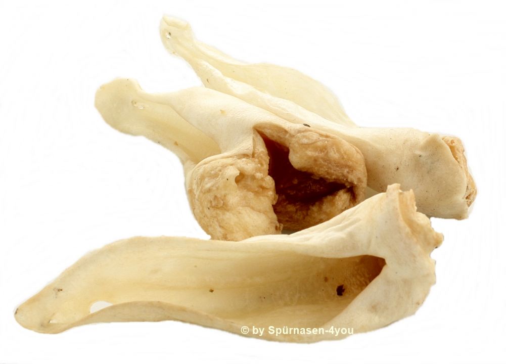 Lammohren-mit-Logo KALE Lammohren, getrocknet 200 g