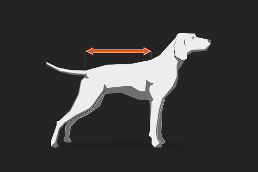 Non-stop-dogwear-Messempfehlung