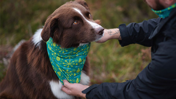 Halstücher Halstücher