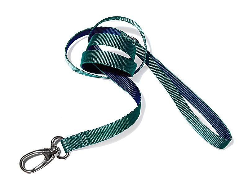 dogma_little_na_CL dogma Leine Little Navy