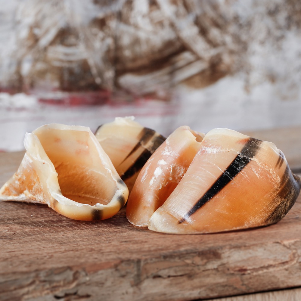 barfgold-kauartikel-rind-kalbshufe BARFGOLD Kalbshuf 1 Stück