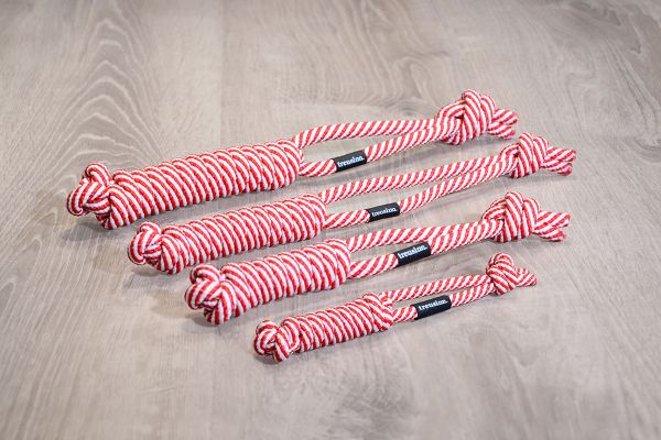 TREUSINN Spiely X-Mas Hundespielzeug