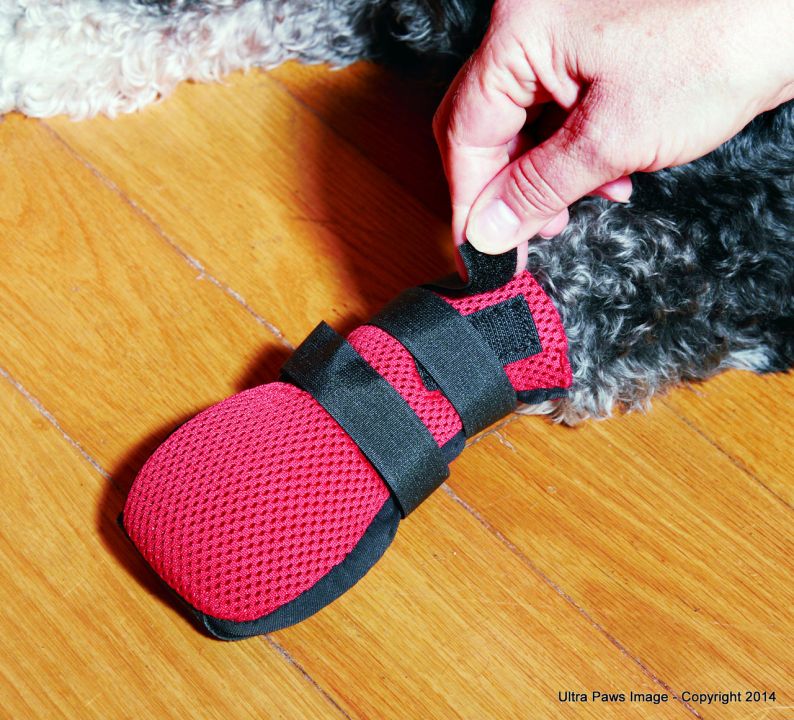 1_Picture_032__85154-1399666428-1280-1280