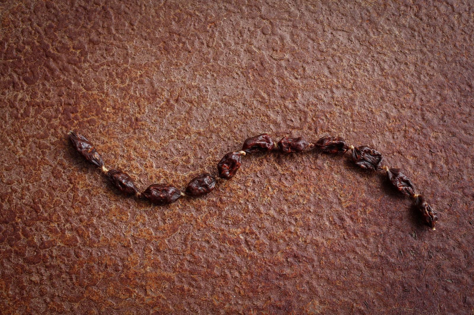 praline-pferd Paul & Paulina  Hundepralinen Pferd mit Aprikose und Rosmarin 200 g