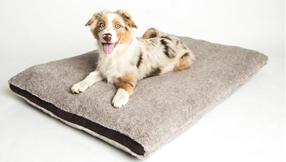 Hundematten Hundematten