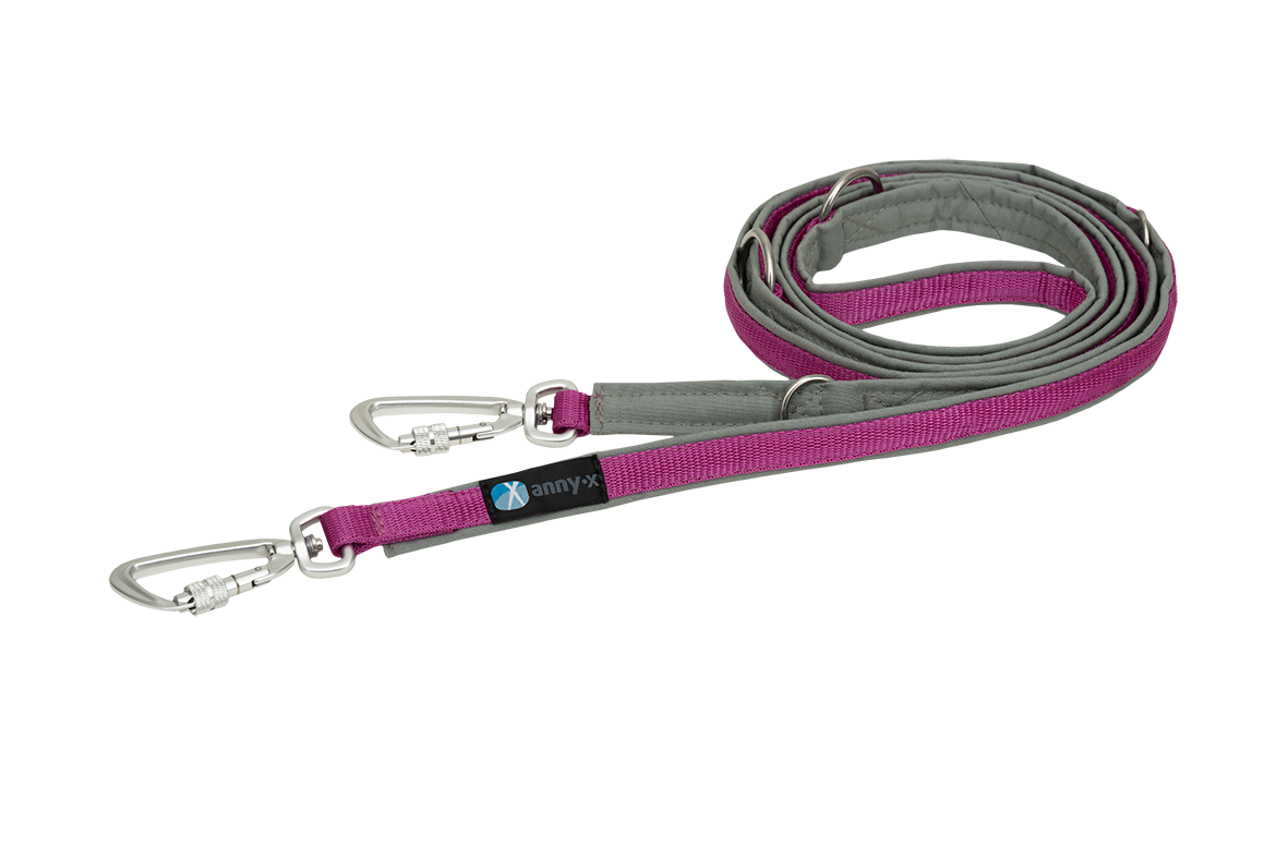 AnnyX Voll-Gepolsterte Führleine Fun Safety Grau / Pink