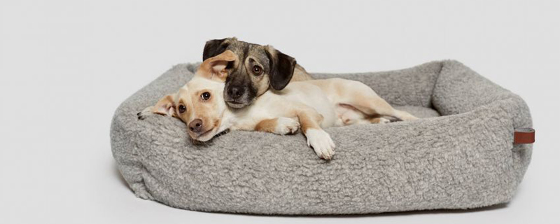 Cloud7 Hundebetten Cloud7 Hundebetten